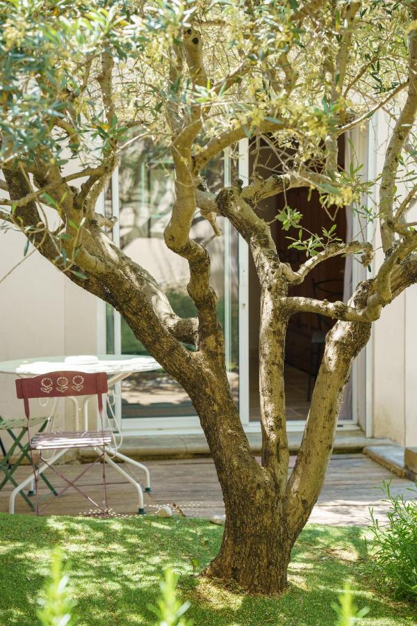 La Terrasse De L'Olivier Beaumes-de-Venise Exterior photo